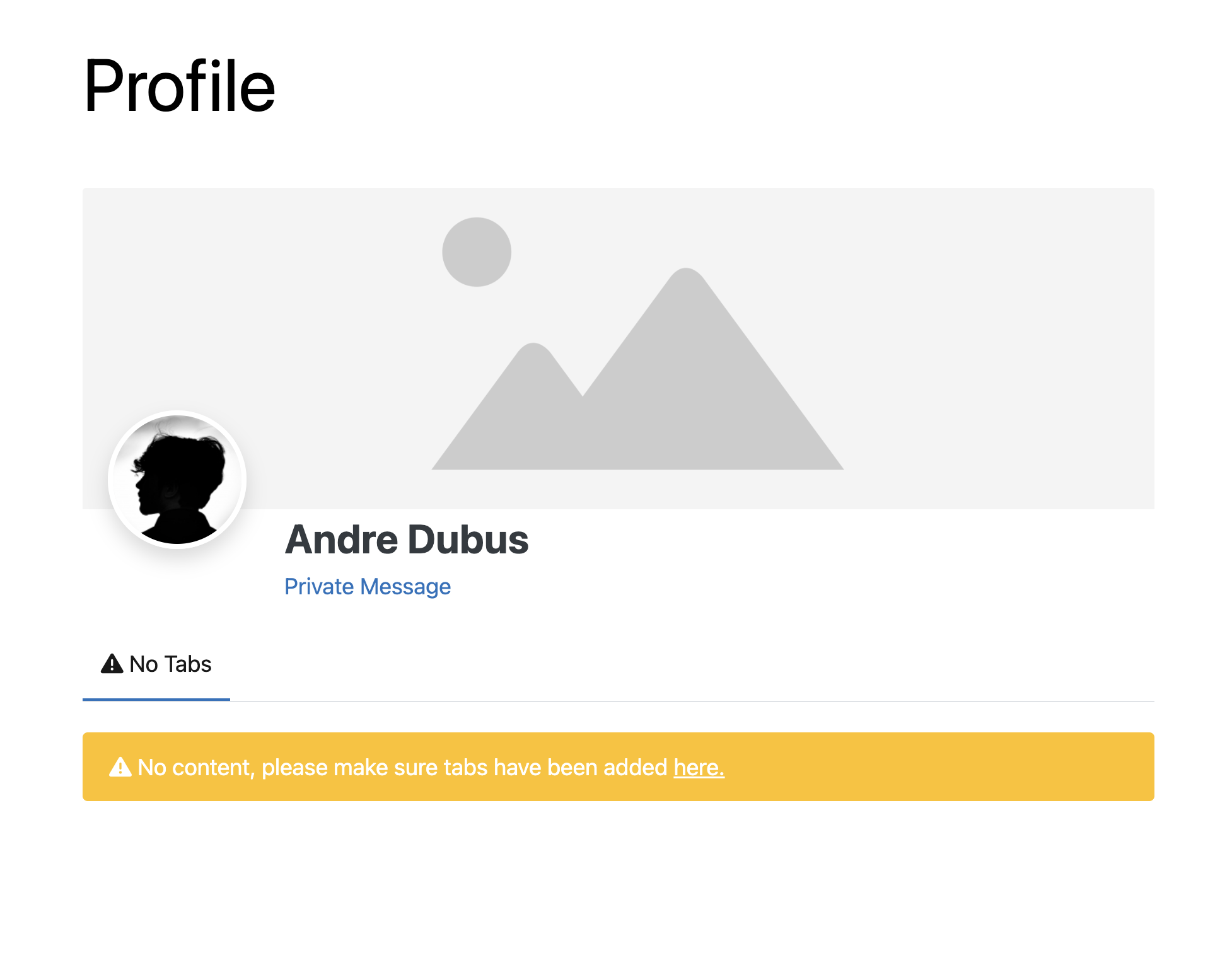 Other Profile Page