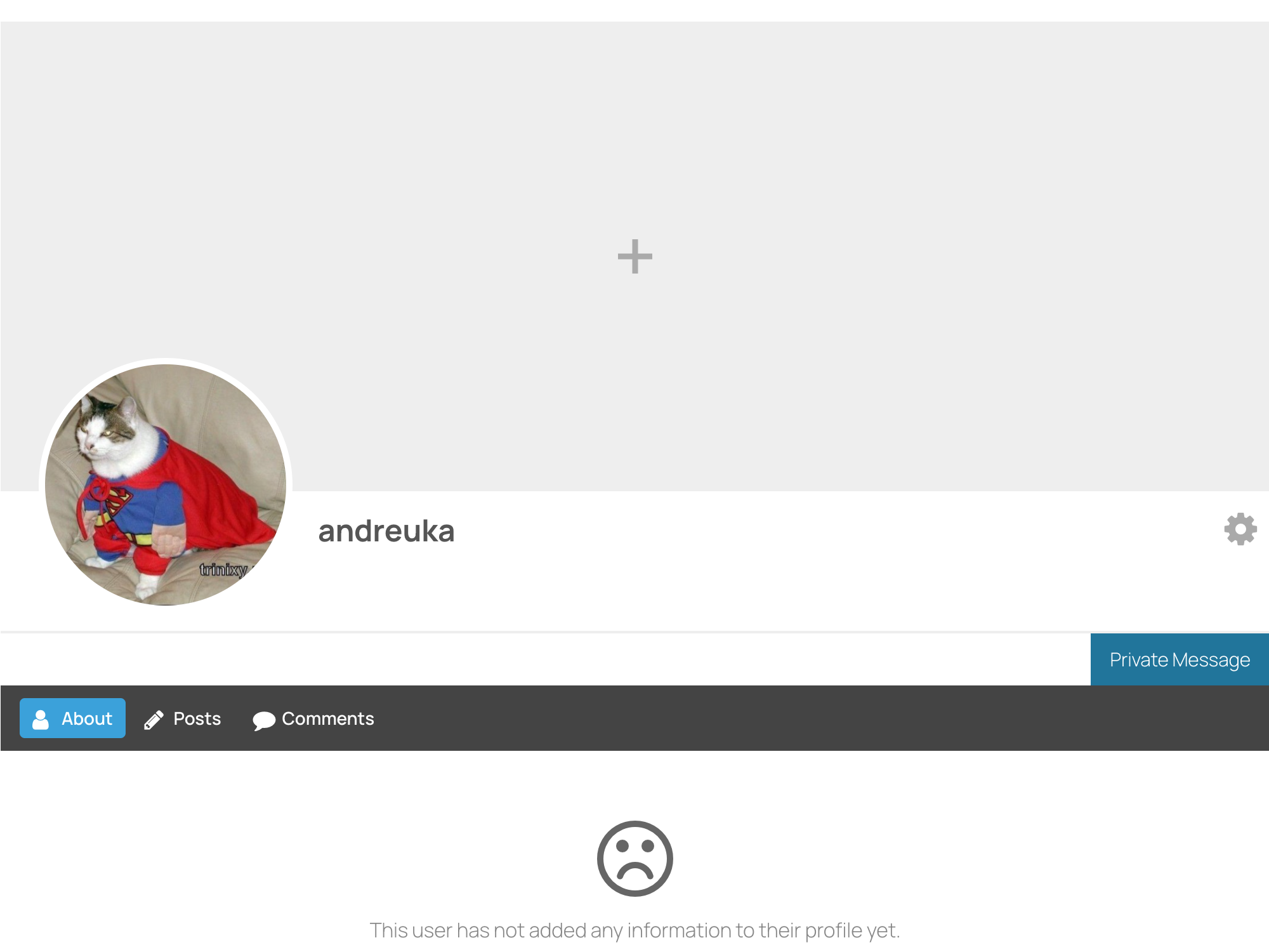 Ultimate Member profile with the Private Message button